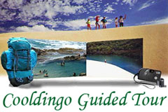 Kingfisher Bay Resort Guided Fraser Island Tour