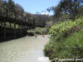 Eli Creek One Day Fraser Island Tour Fraser Experience