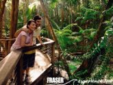 Fraser Island Rainforest Walk - 1 Day Fraser Island Tour
