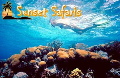 Fraser Island - Sunset Safaris Five Day Guided Tour