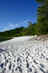 Fraser Island White Sandy Lake Beach