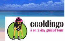 Kingfisher Bay Resort - Cooldingo eco tour