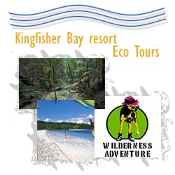 Kingfisher Bay Resort Package Deals