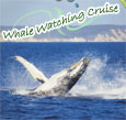 Kingfisher Bay Resort on Fraser Island Whale Watching Package Deal